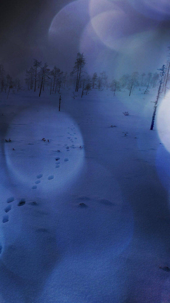 Vinter Natur iPhone Wallpapers