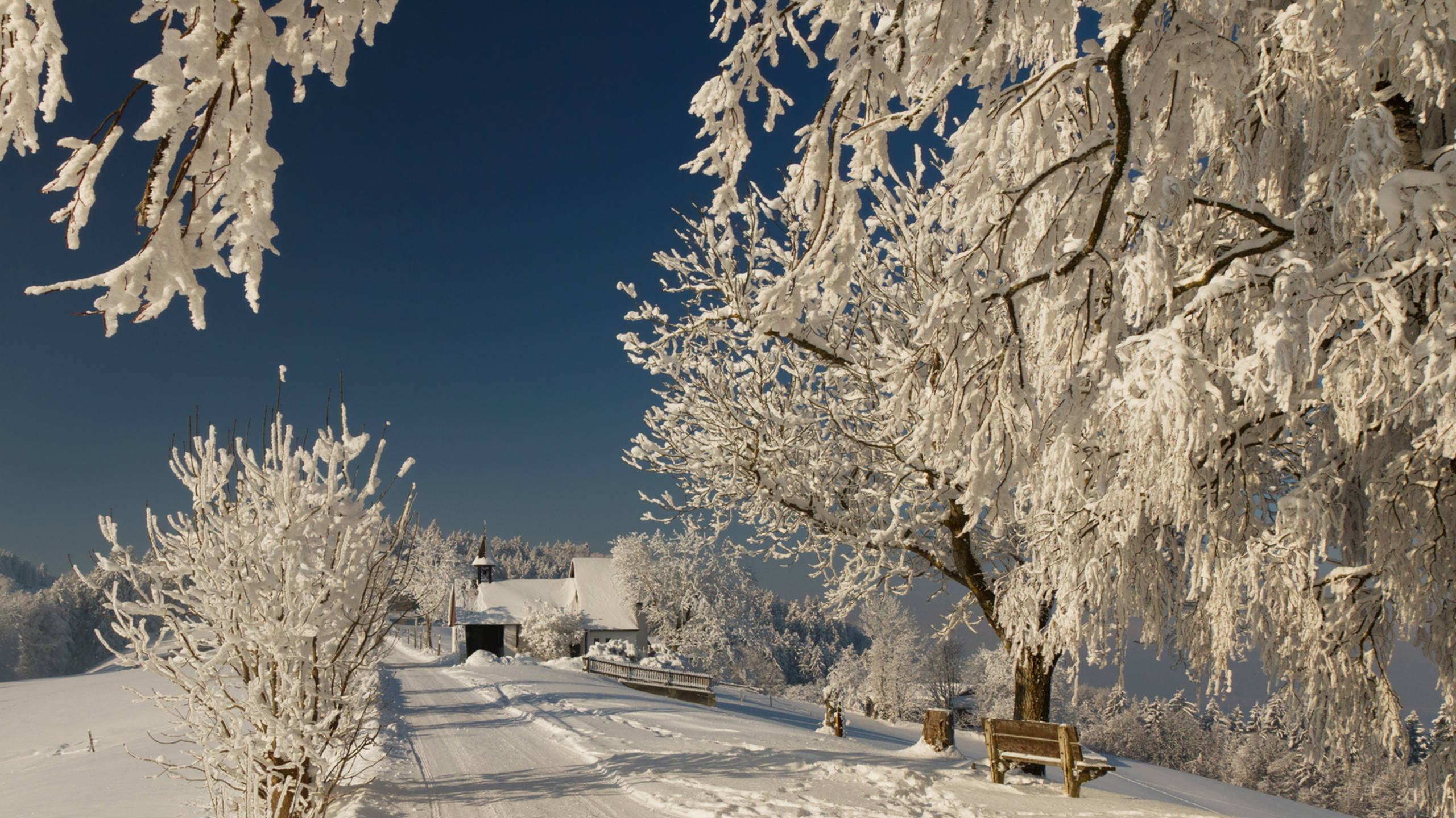 Vinter tusmørke kold park Wallpapers