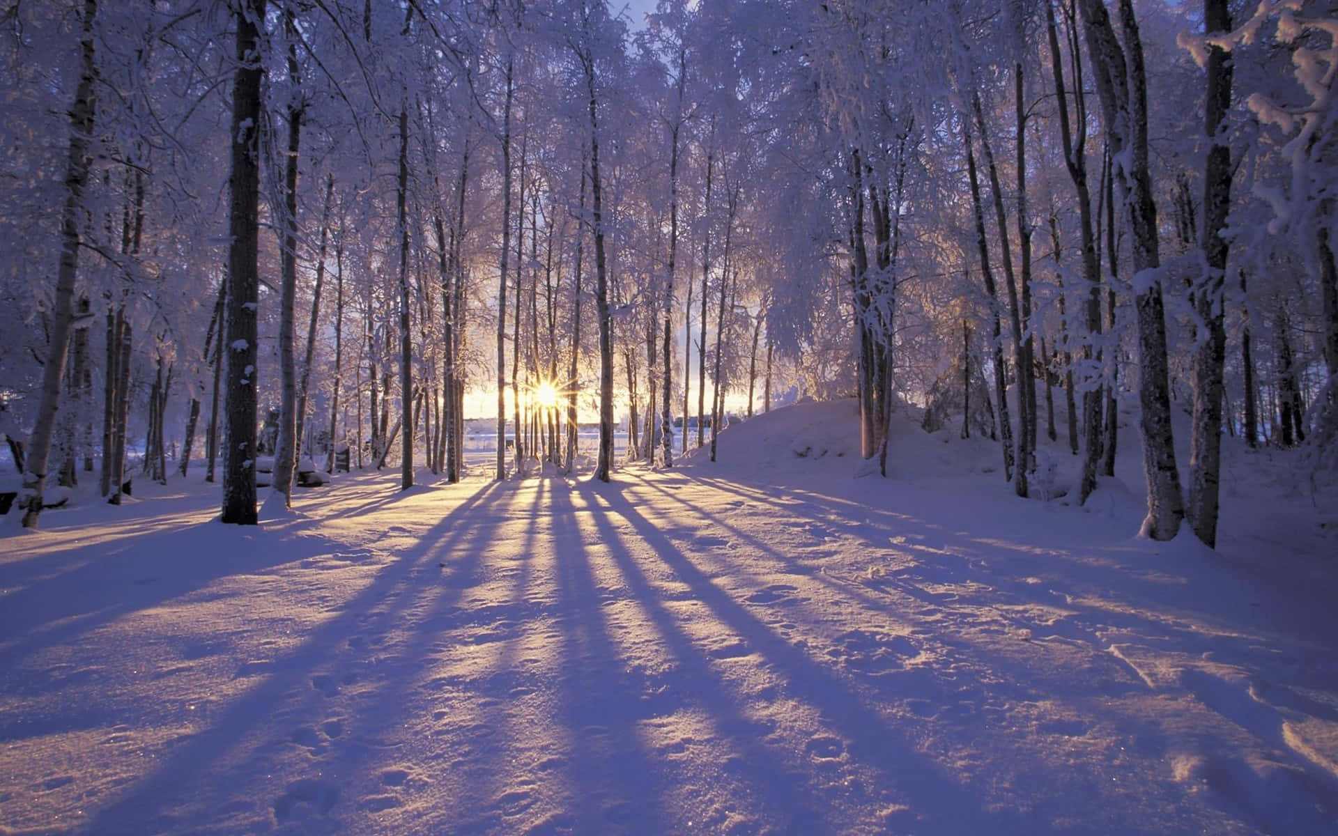 Vinterbaggrund Wallpapers