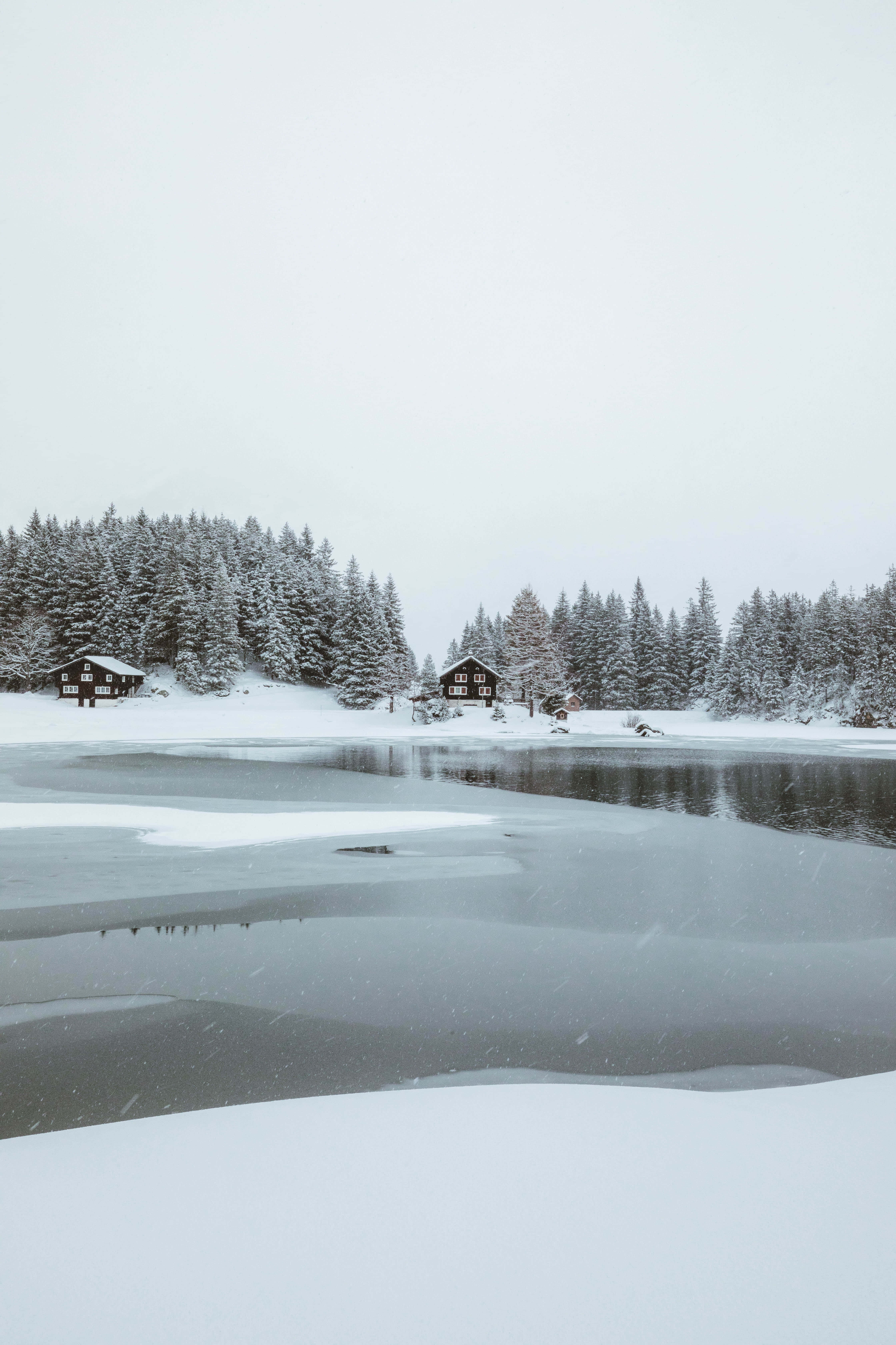 Vinterlandskab med snesø Wallpapers