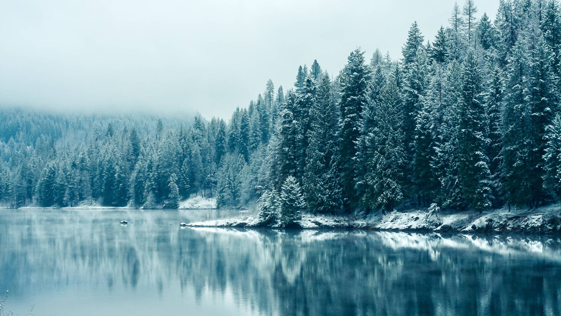 Vinterlig æstetisk sø Wallpapers