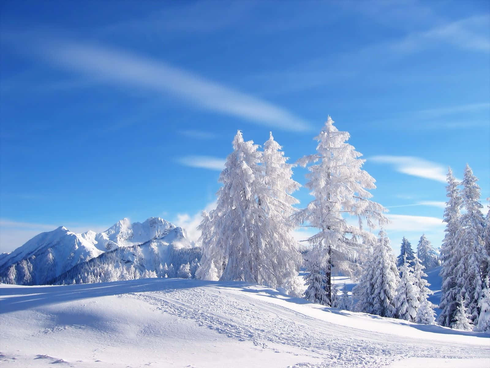 Vintersæson Sne Landskab Rusland Wallpapers