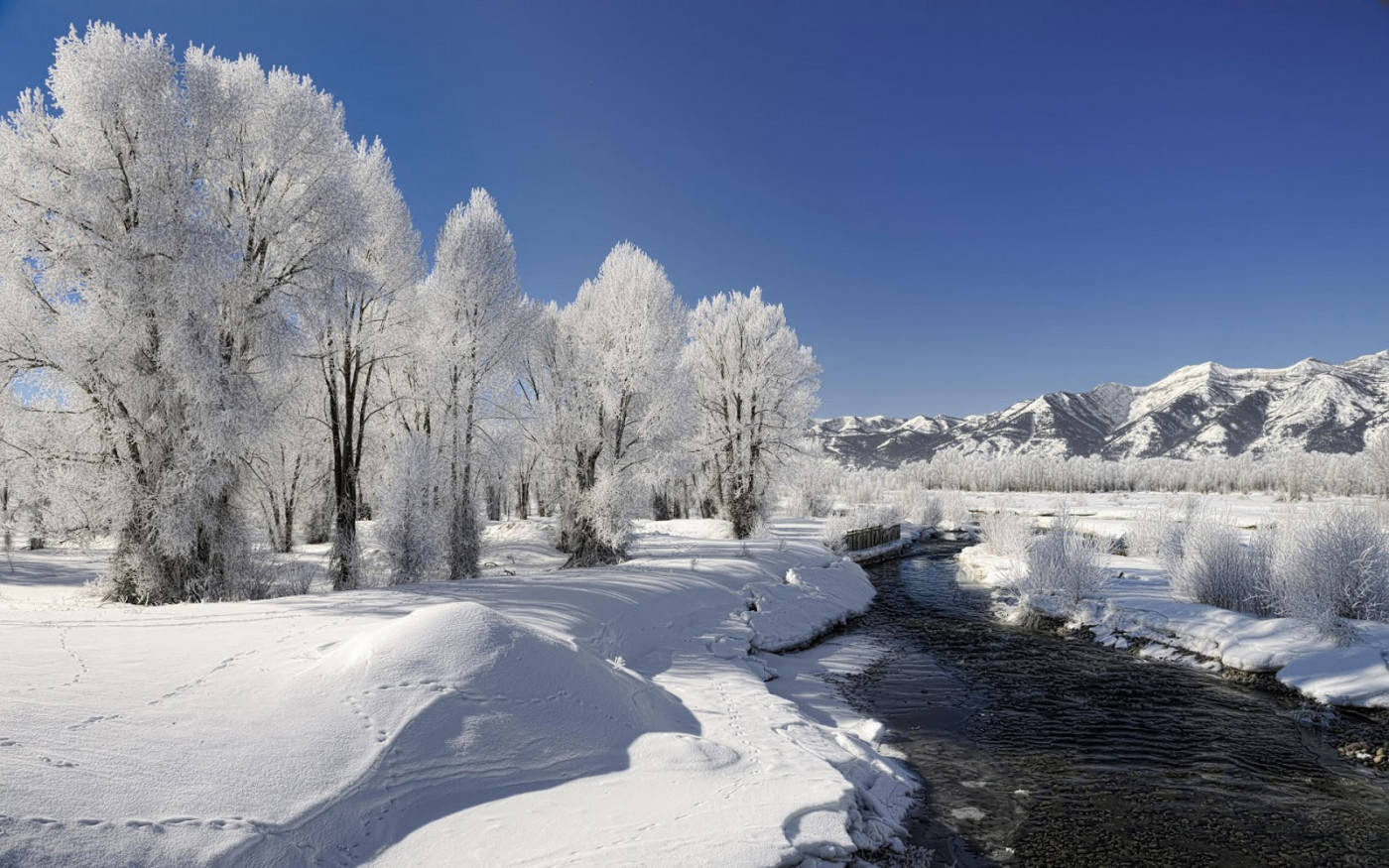 Vinterscene med frossen natur Wallpapers