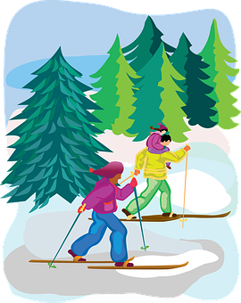 Vinterski-eventyr i skovlandskab Wallpapers
