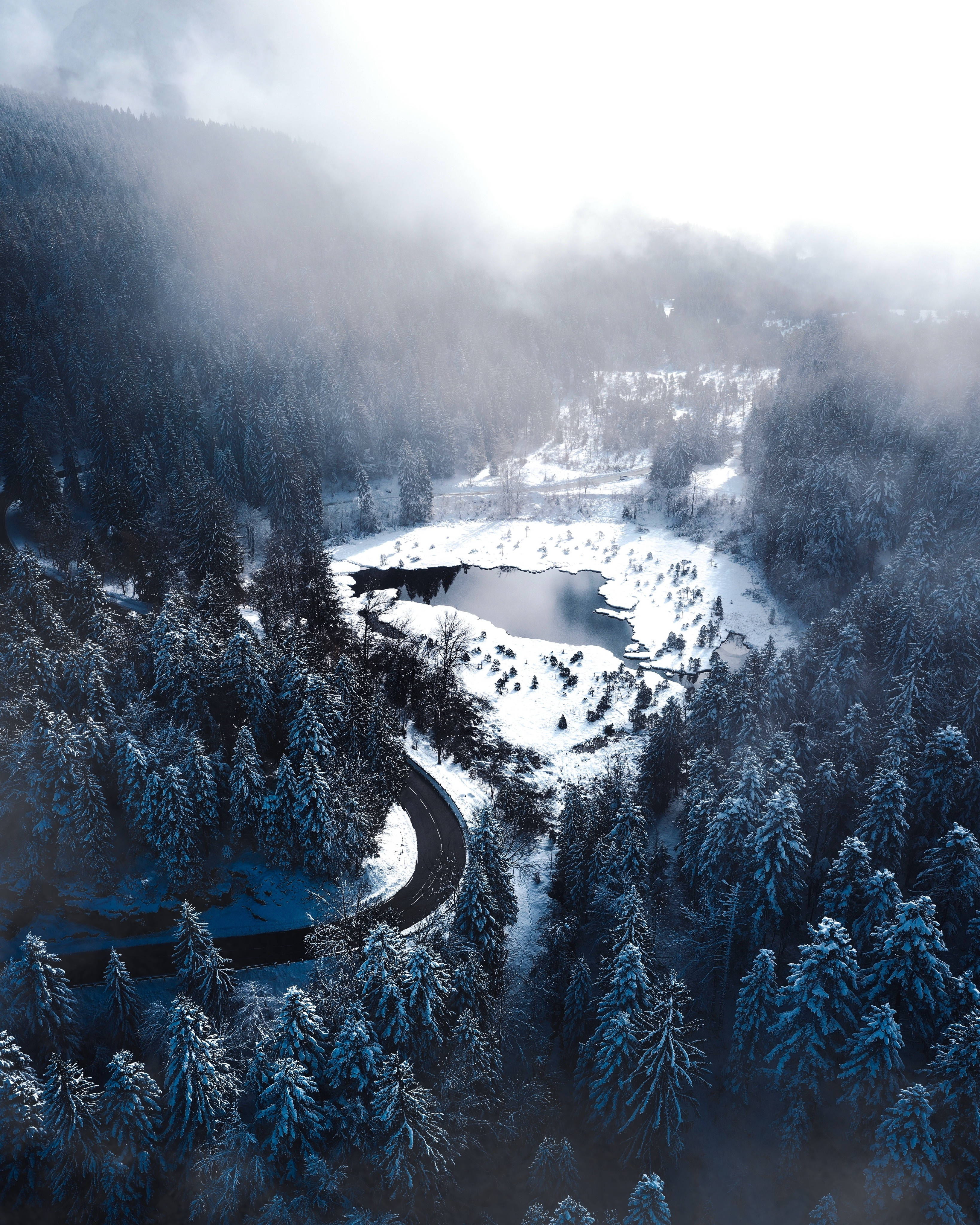 Vinterskov og sø Wallpapers