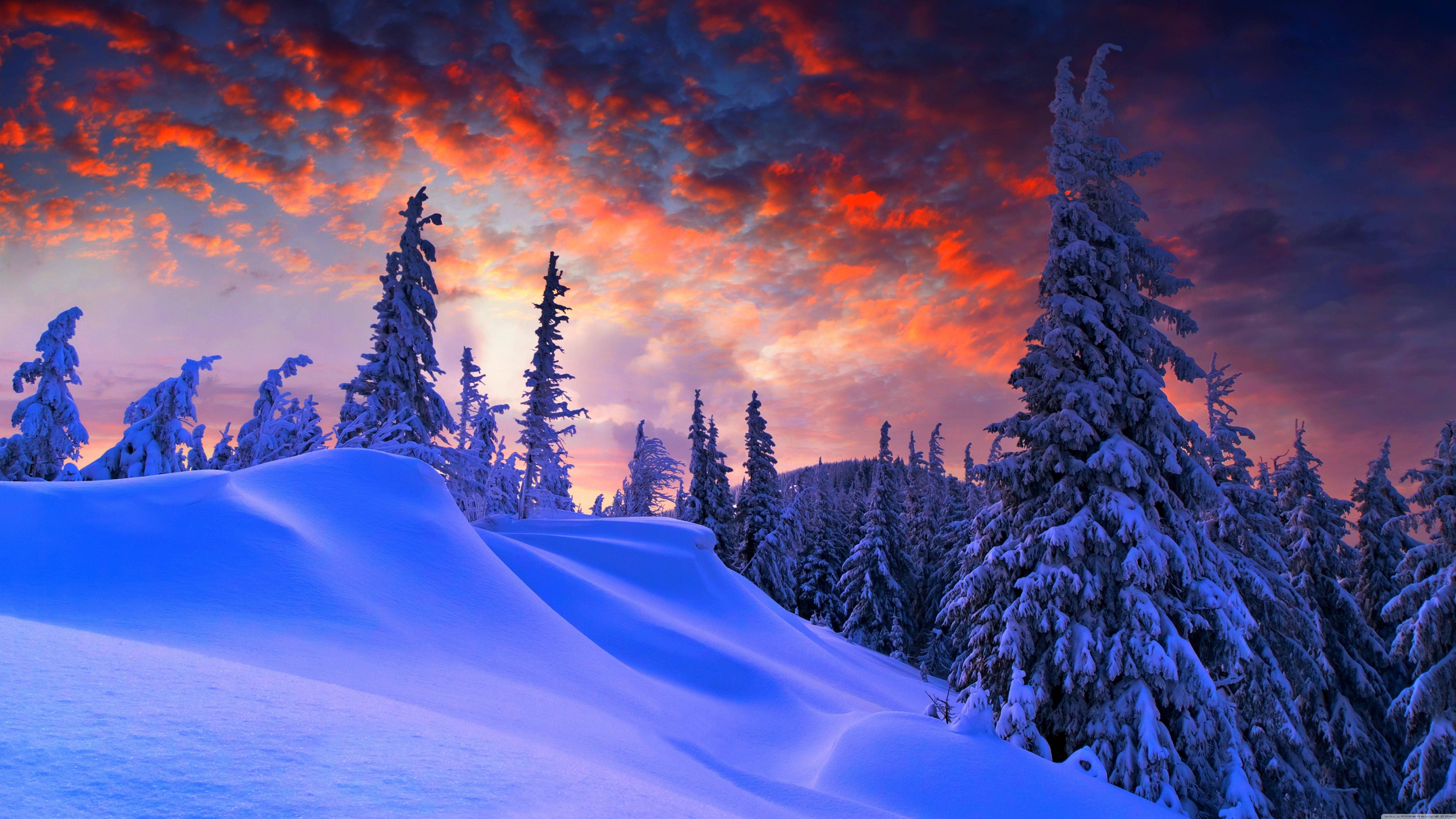 Vintersolnedgang Wallpapers