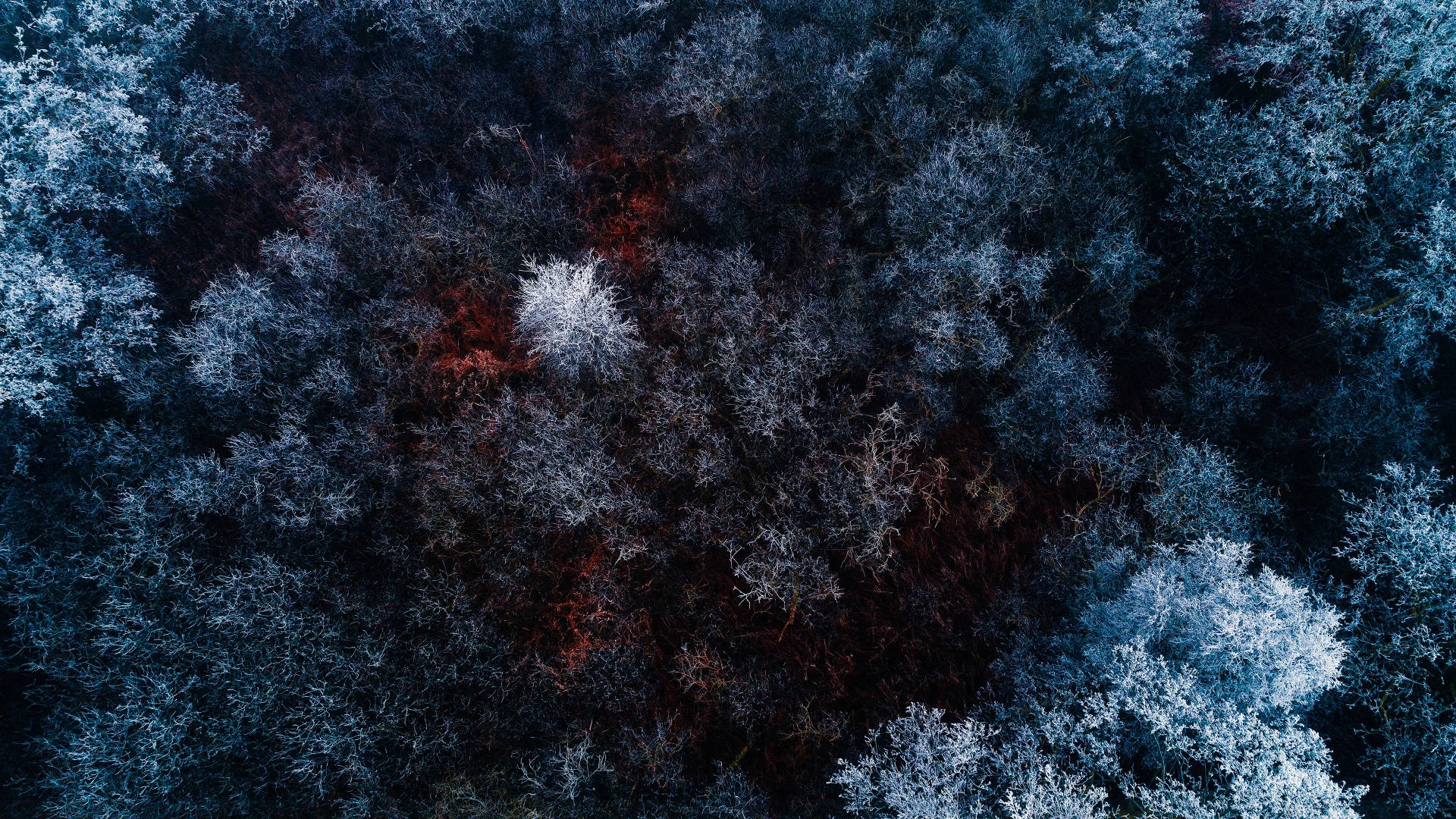 Vinteræstetik fra fugleperspektiv Wallpapers