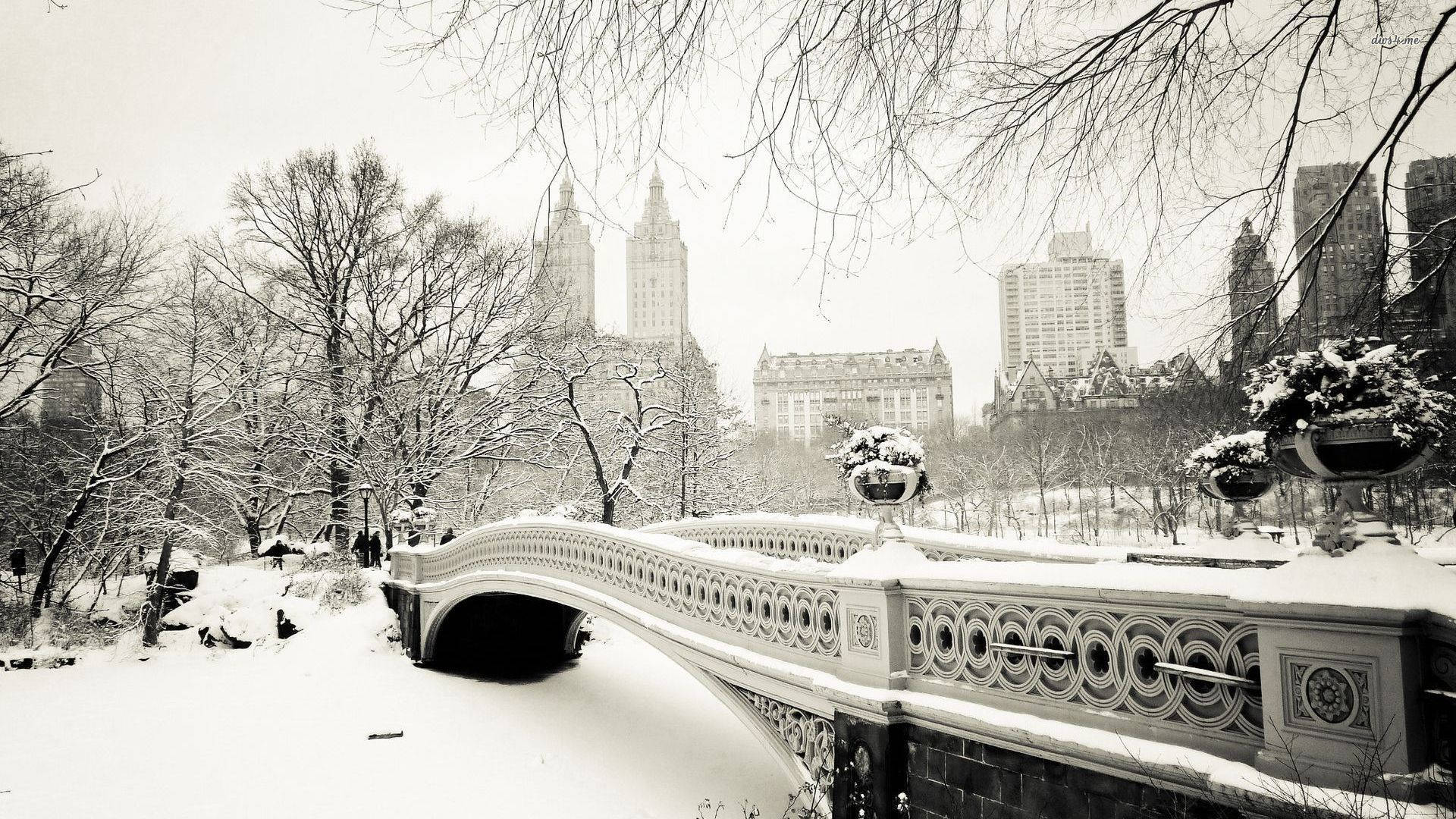 Vinteræstetik i Central Park Wallpapers