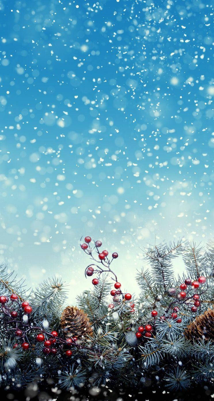 Vintertelefon julefrugter Wallpapers