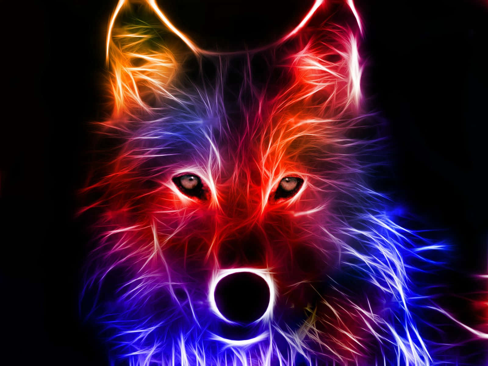 Vis din fede side med denne super fede ulv Wallpapers