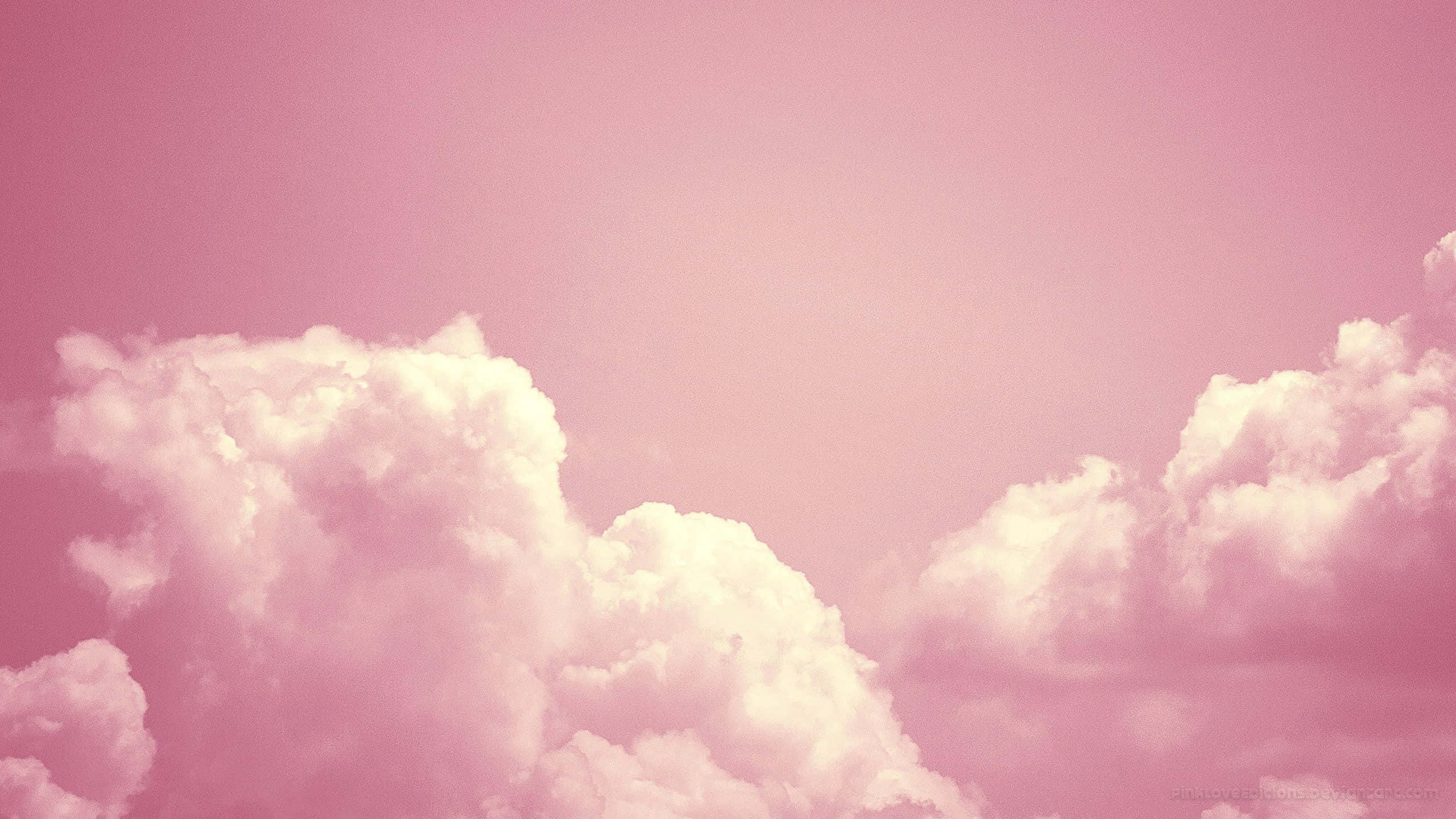 Vis din søde side med lyserøde nuancer og solskinsstemning Wallpapers