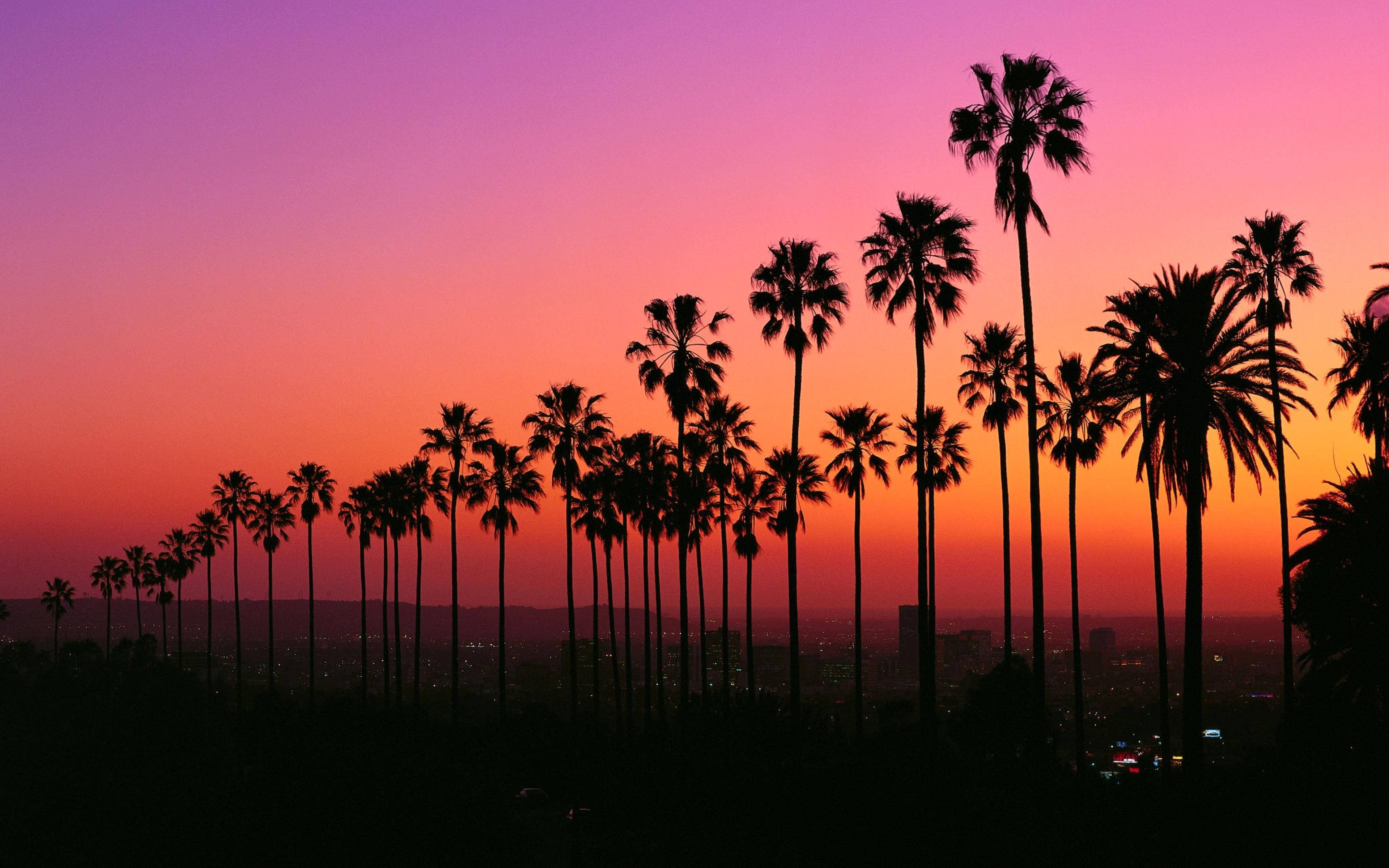 Vivid Los Angeles solnedgang Wallpapers