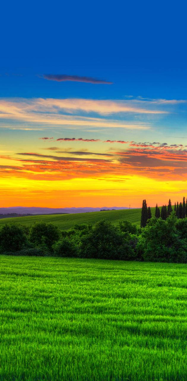 Vivo Y11 Mark Og Himmel Wallpapers
