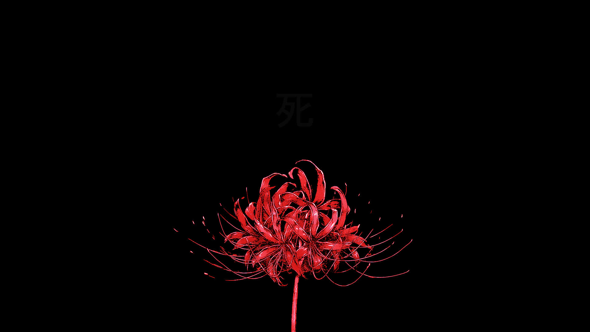Vonflora Spindellilje Wallpapers