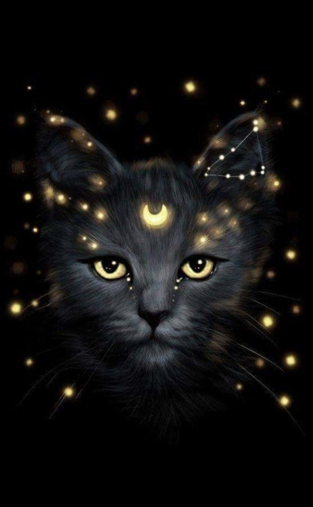 Vov dig ud i universet med Galaxy Cat Wallpapers