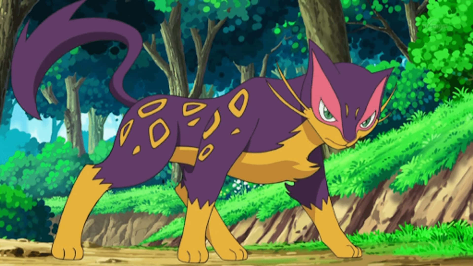 Vred Liepard i anime Wallpapers