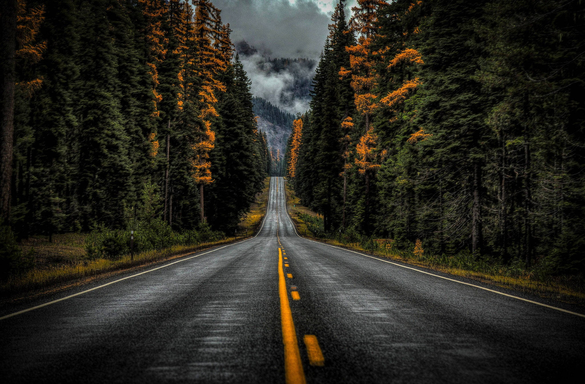 Washington State Route 410 Wallpapers