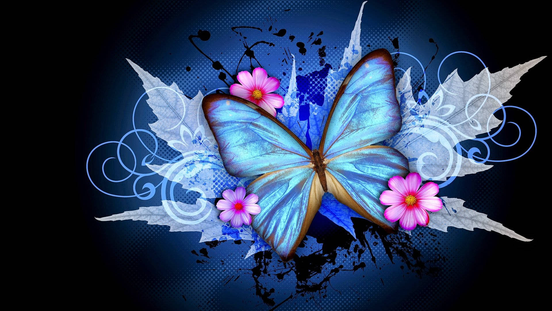 WhatsApp DP Efterårs Sommerfugl Wallpapers