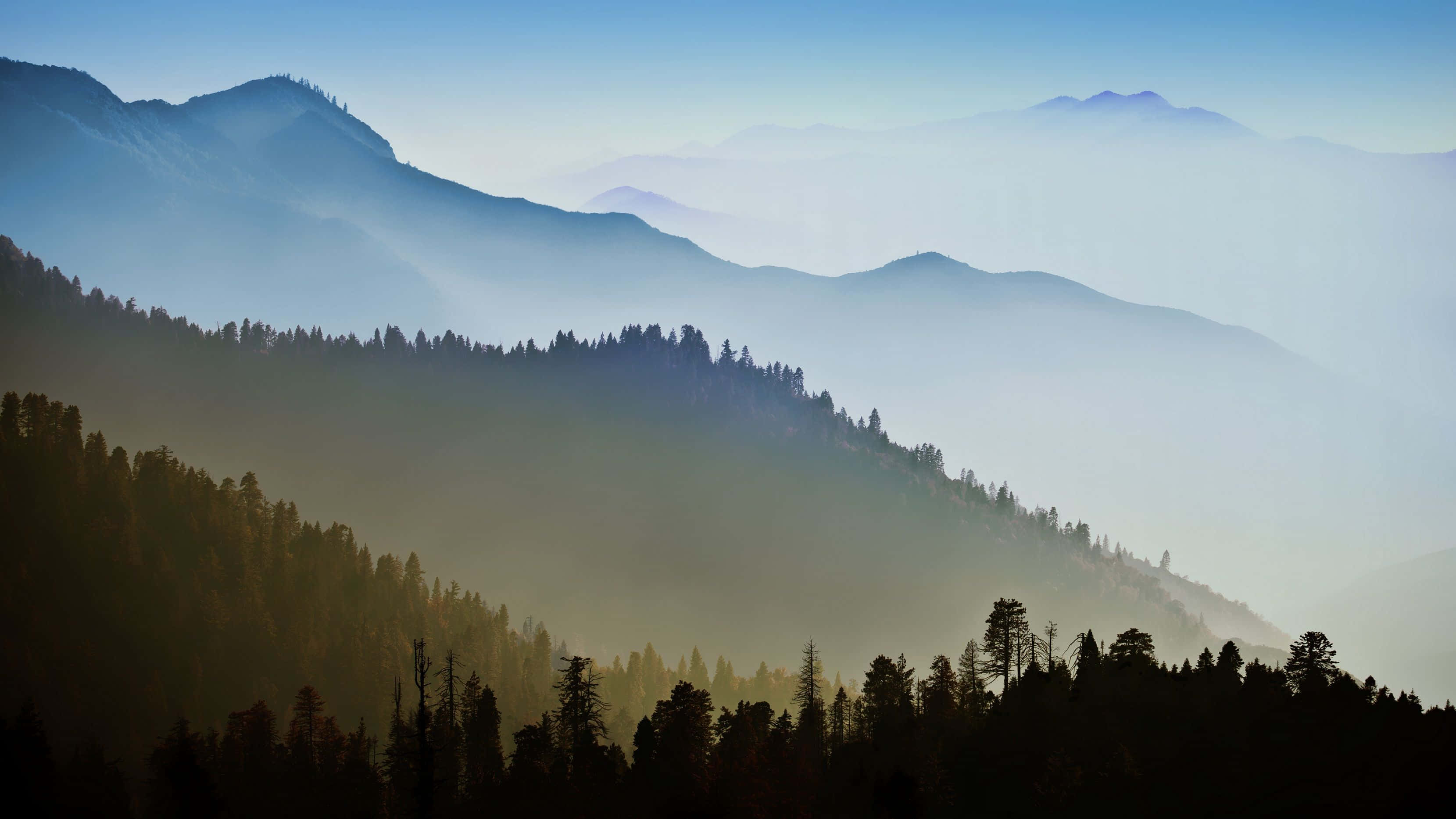 Woods Mountains California MacBook Standard Wallpapers
