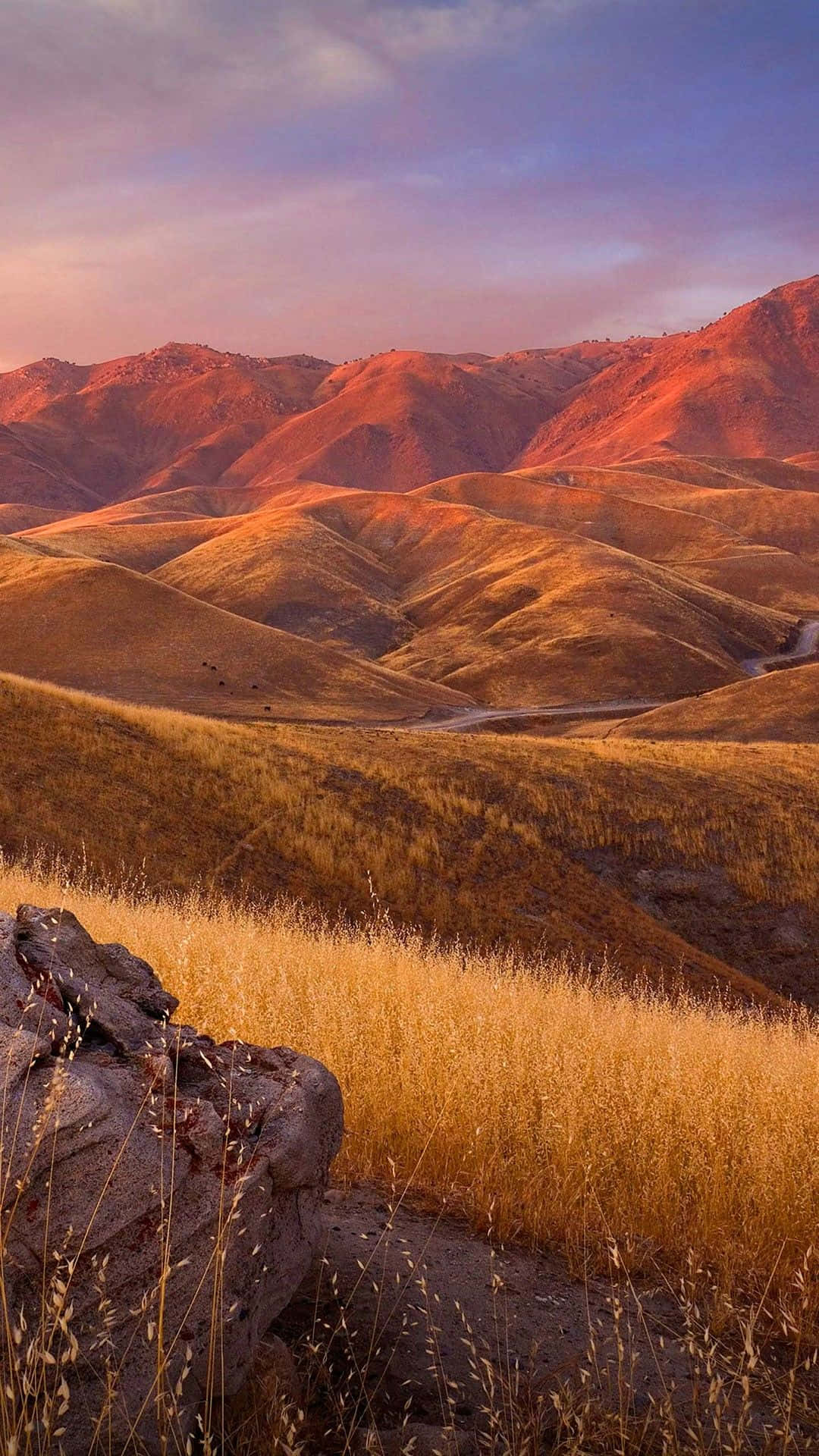 Xiaomi smartphone med naturinspireret baggrund Wallpapers