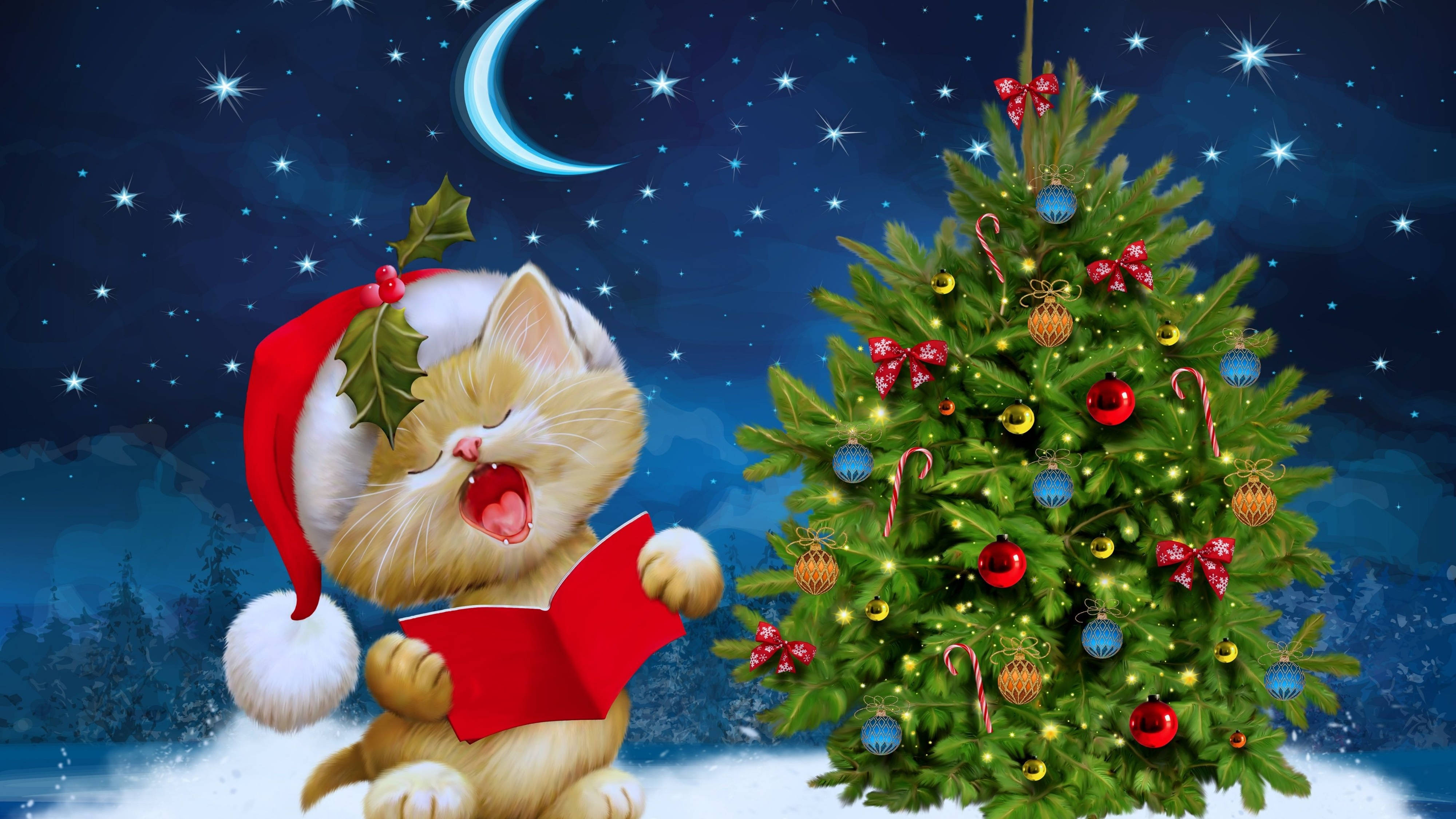 Yndig killing i festlig julemandshue fejrer jul i 4K Ultra HD. Wallpapers
