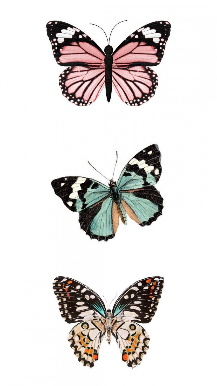 Yndig sommerfugl æstetik Wallpapers