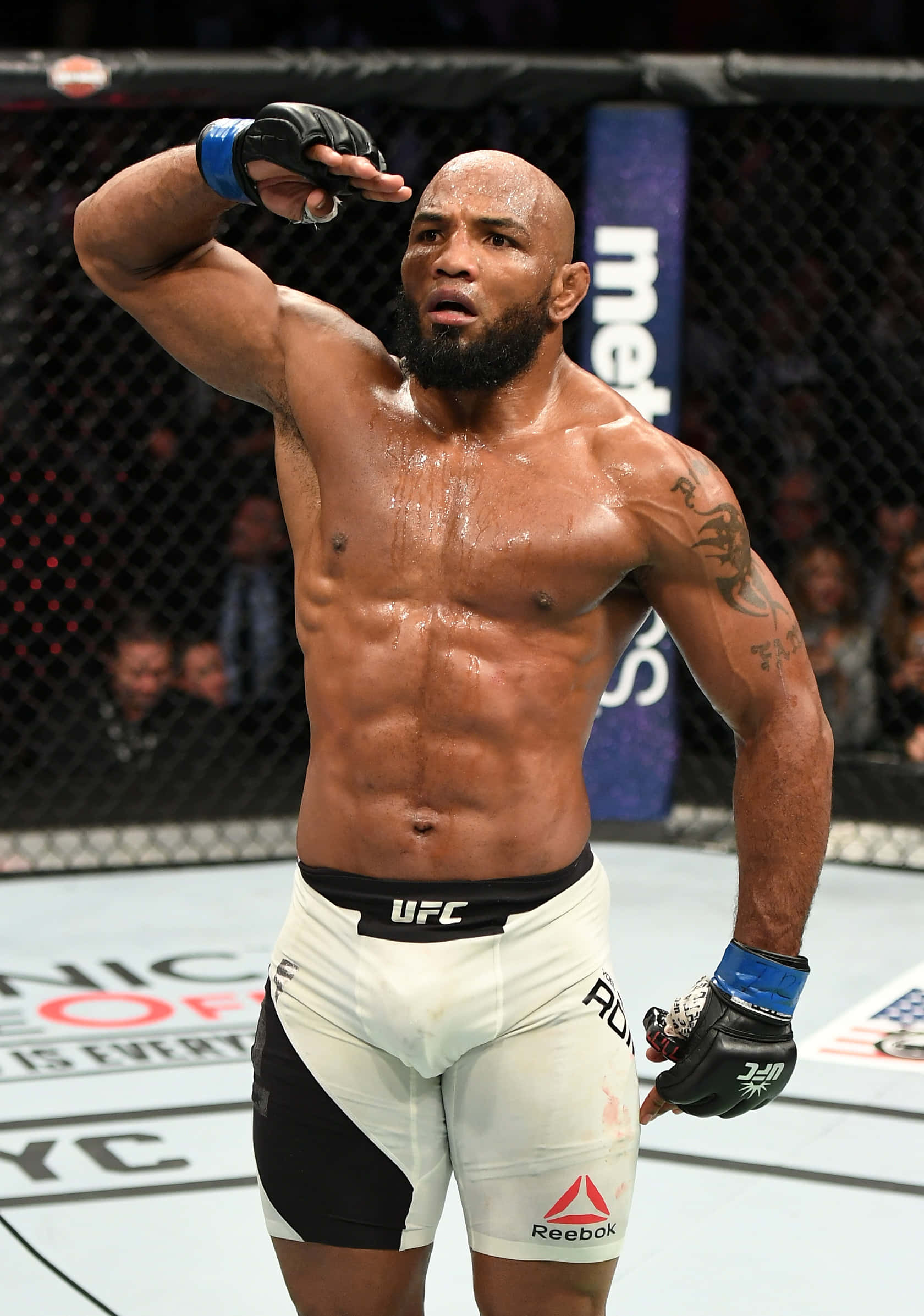 Yoel Romero hilsen ved UFC 205 Wallpapers