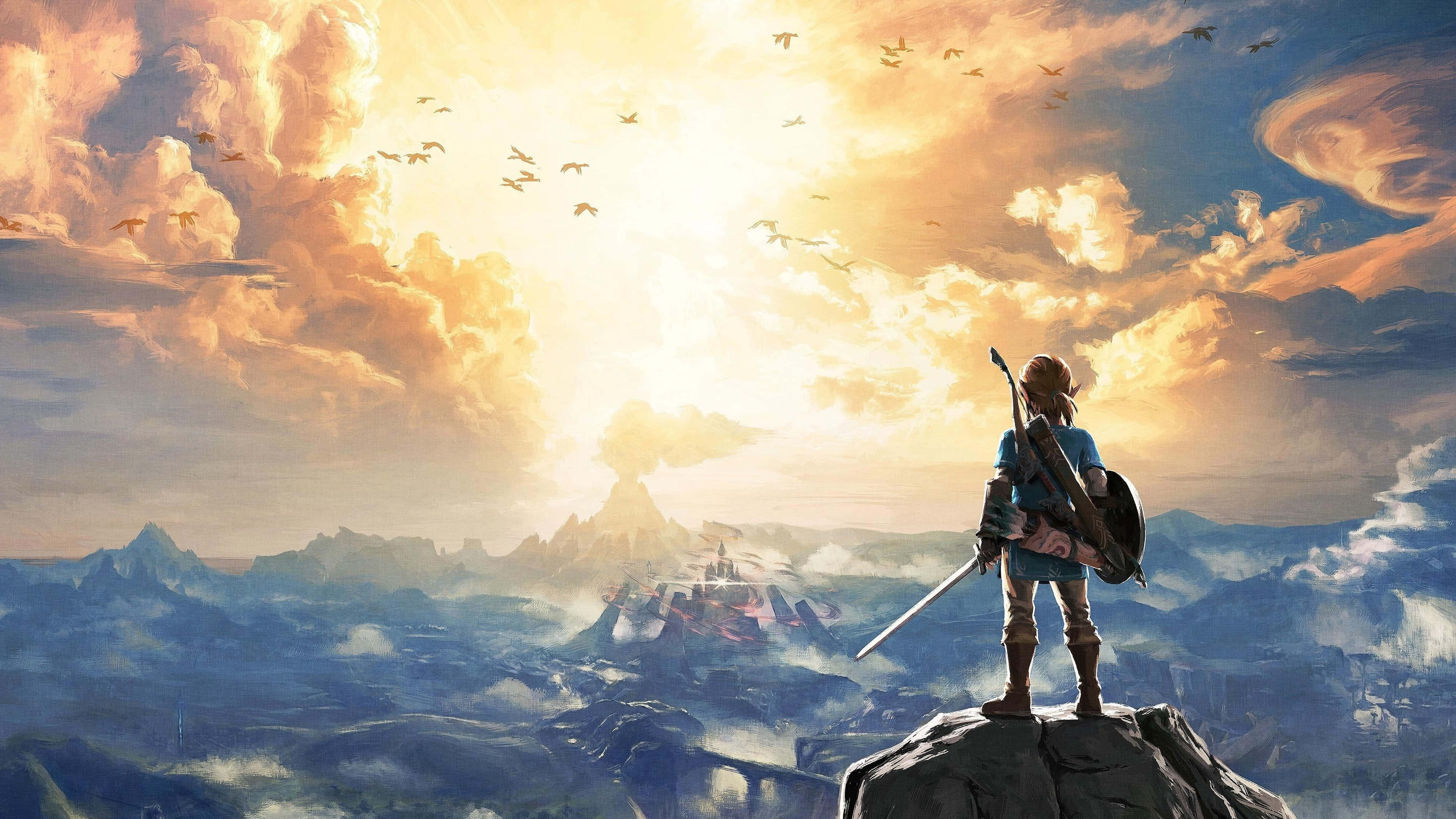 Zelda Breath Of The Wild 4K Link ser op mod himlen Wallpapers