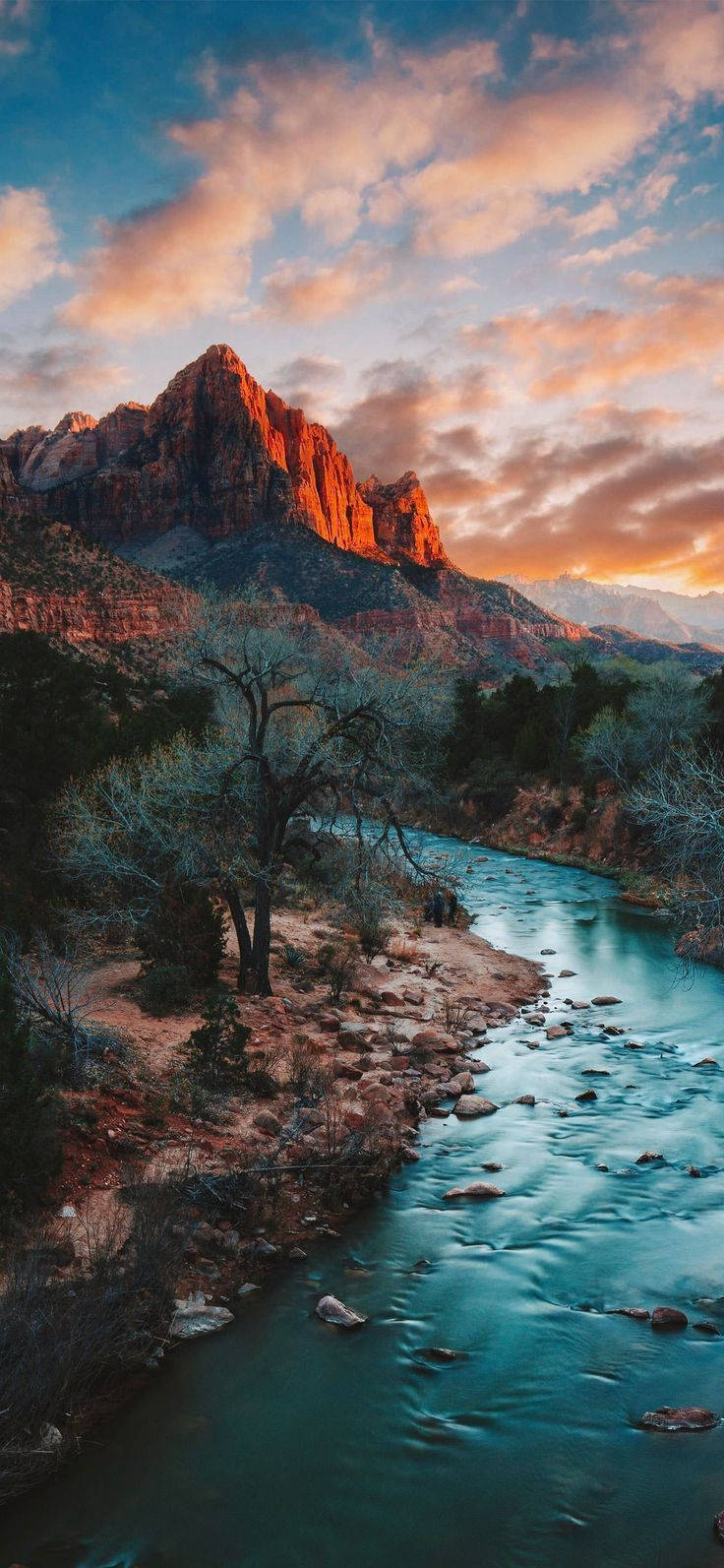 Zion Narrows-sektionen i Zion National Park Wallpapers