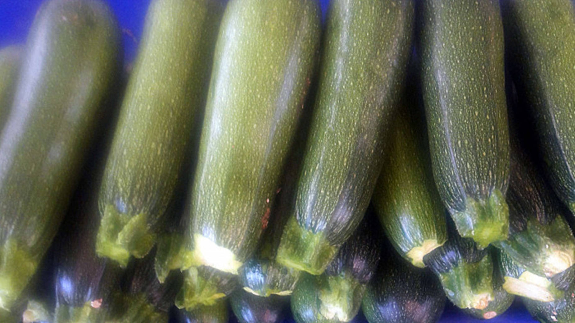 Zucchini babysquash-sort Wallpapers