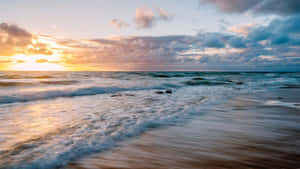 1440p Malibu Baggrund