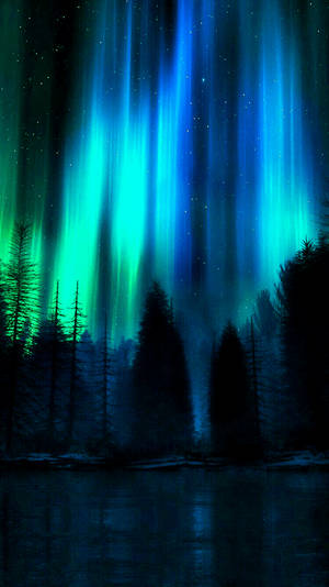 4K Android Mørkt Nordlys — Mørk skov Wallpapers