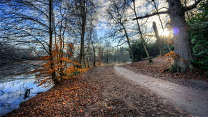 8k 7680x4320 Ultra Hd Skrivebordsbaggrund med Flodsti