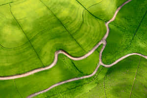 Green Nature background — MacBook Air 15 Wallpapers