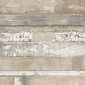 Æstetisk beige bøgetræ — Æstetisk beige Wallpapers