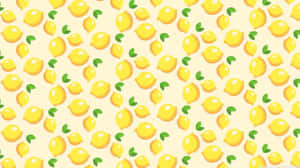 Boho Mac — Æstetisk boho Wallpapers