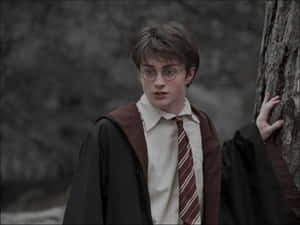 Æstetiske Harry Potter billeder — Æstetisk Harry Potter Wallpapers