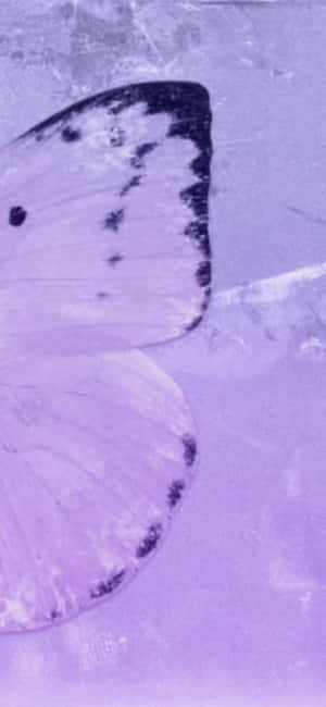 Æstetisk lilla billeder — Tecno Camon Air Wallpapers