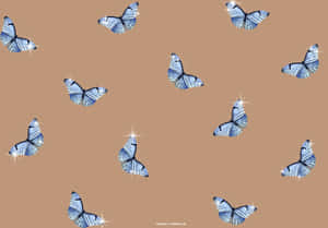 Æstetiske billeder — Æstetisk sommerfugl Wallpapers