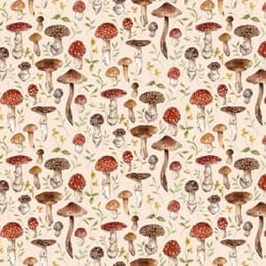 Æstetisk vintage sød svamp beige — Svampeæstetik Wallpapers