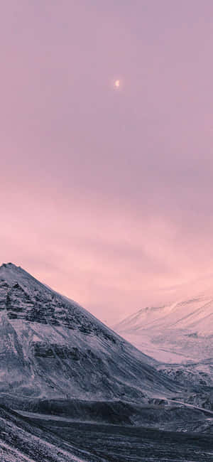 Æterisk skovsceneri på iPhone X — Pixel 8a Wallpapers