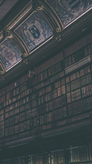Mørk Akademisk Æstetik Bibliotek — Mørk akademi Wallpapers