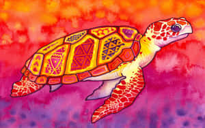 Skildpaddebaggrund — Cool skildpadde Wallpapers