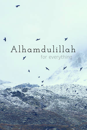 Alhamdulillah Fugle Og Bjerge — Bjerge Wallpapers