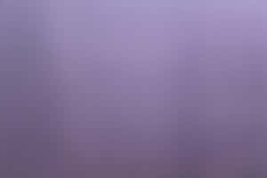 Almindelig lilla baggrund — MacBook Air M3 Wallpapers