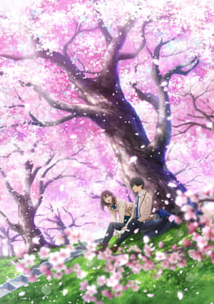 Anime kirsebærblomst baggrund — iPad Air 11 Wallpapers