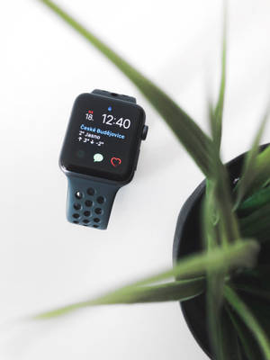 Apple Watch æstetisk tiltalende foto tapet — Apple Watch Wallpapers