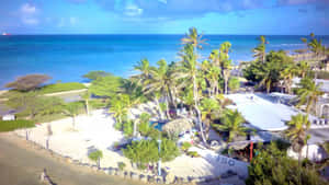 Aruba Strandbilleder