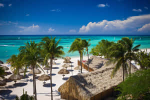 Aruba Strand Billeder