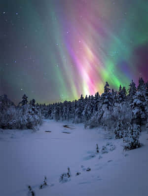 At omfavne skønheden i et vintereventyrland — HMD Terra M Wallpapers